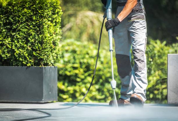 Professional Pressure Washing in Park Hills, KY